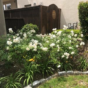 Meet your Posher, Shelli